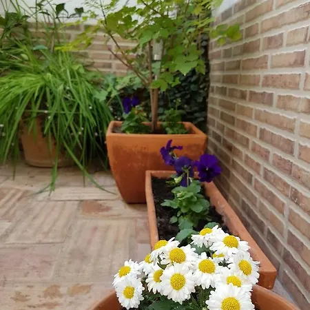 Cozy * Tavira